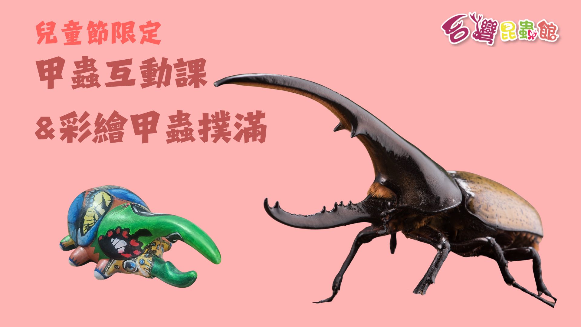 4/4(六)11:00-12:00『甲蟲王者』近距離互動課&彩繪甲蟲撲滿DIY